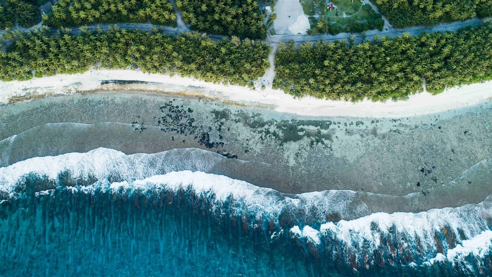 aerial-shot-beach-with-waves-from-sea-jungle-maldivescompressed aerial-shot-beach-with-waves-from-sea-jungle-maldivescompressed